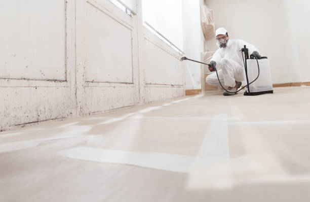 24/7 Emergency Mold Remediation experts in Hudson, NC
